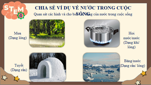 Giáo án Powerpoint STEM Khoa học lớp 4