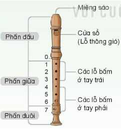 Nhạc cụ: Thể hiện nhạc cụ gõ hoặc nhạc cụ giai điệu SGK Âm nhạc 4 KNTT