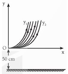 Vật lí 11 Kết nối tri thức bài 18