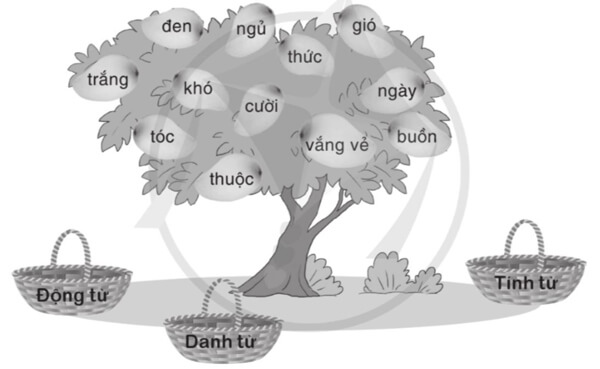 Ôn tập cuối học kì 1 - Tiết 1