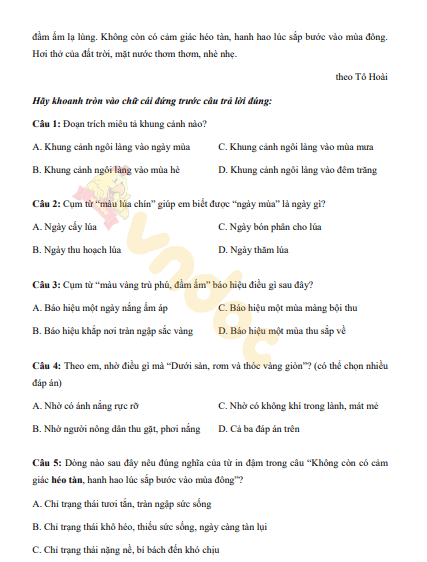 bai tap cuoi tuan 1 toan tieng viet lop 4 CD h2*488222