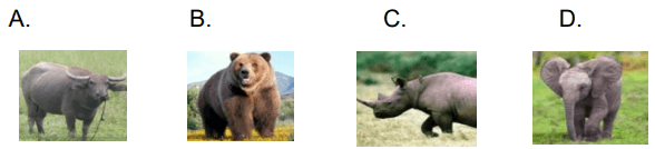 Đề thi Trạng Nguyên Toàn Tài lớp 1 năm 2023