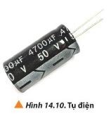 Vật lí 11 Chân trời sáng tạo bài 14