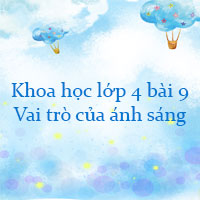 Khoa học lớp 4 bài 9 Vai trò của ánh sáng