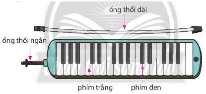 Nhạc cụ: Nhạc cụ tiết tấu và giai điệu trang 14, 15 SGK Âm nhạc 4 CTST