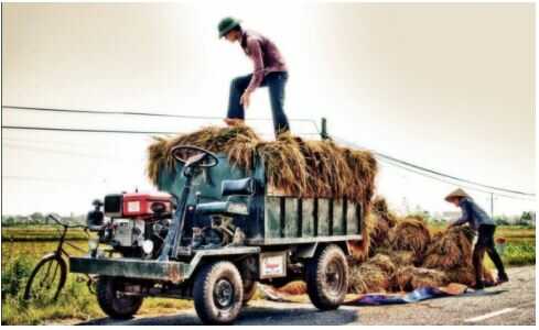 Giải SGK Đạo đức 4 Chân trời sáng tạo bài 4