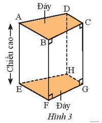 Thực hành 1 trang 56 Toán 7 Tập 1 Chân trời sáng tạo