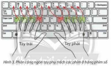Khám phá trang 9 SGK Tin học lớp 4
