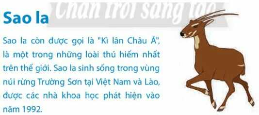 Khám phá 2 trang 17 SGK Tin học lớp 4