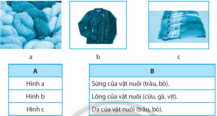 Sách bài tập Công nghệ 7 Bài 8: Nghề chăn nuôi ở Việt Nam - Chân trời sáng tạo (ảnh 1)