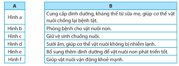 công nghệ 7