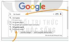 Thực hành tìm thông tin trên Internet