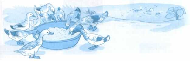 Vở bài tập Toán lớp 4 trang 73 Bài 2