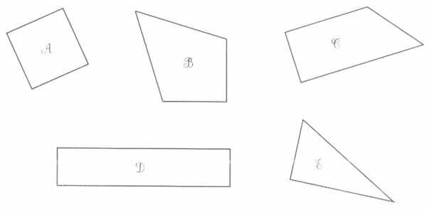 Vở bài tập Toán lớp 4 trang 102 Bài 4