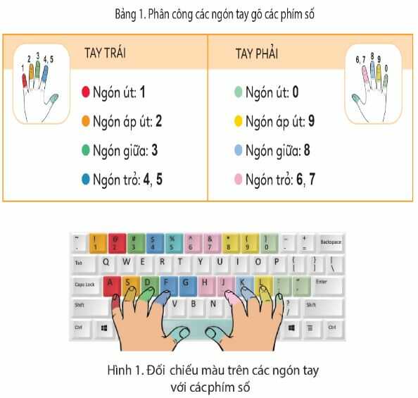 Hoạt động trang 9 SGK Tin học lớp 4