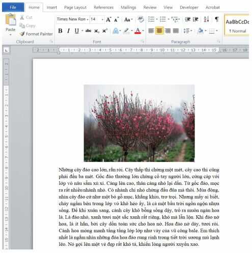 Luyện tập trang 41 SGK Tin học lớp 4