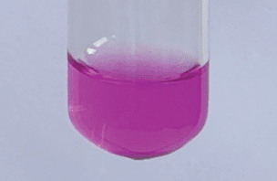 Dung dịch NaOH sau khi nhỏ thêm phenolphthalein vào