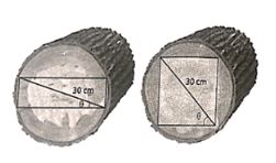 Giải sách bài tập Toán 11 Kết nối tri thức bài tập cuối chương 1