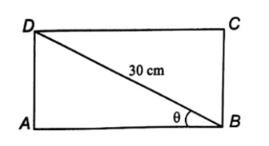 Giải sách bài tập Toán 11 Kết nối tri thức bài tập cuối chương 1