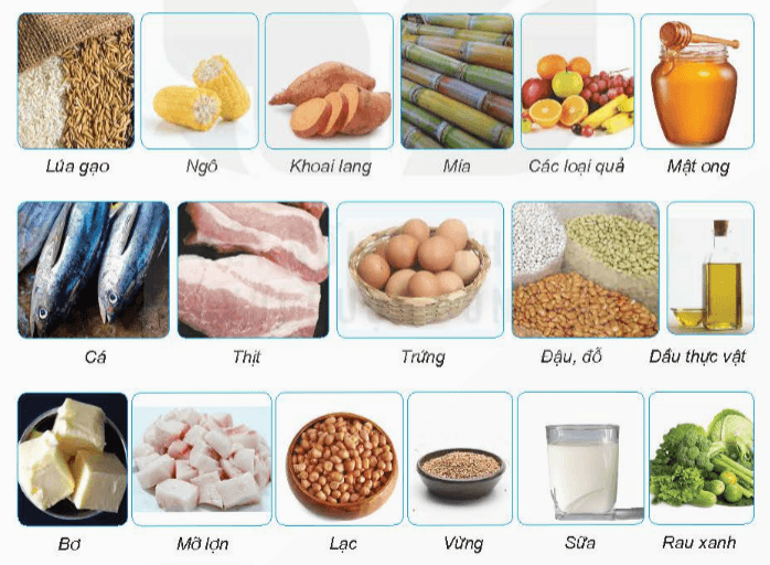 Giải KHTN 6 Kết nối tri thức