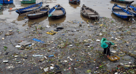 Ô nhiễm môi trường