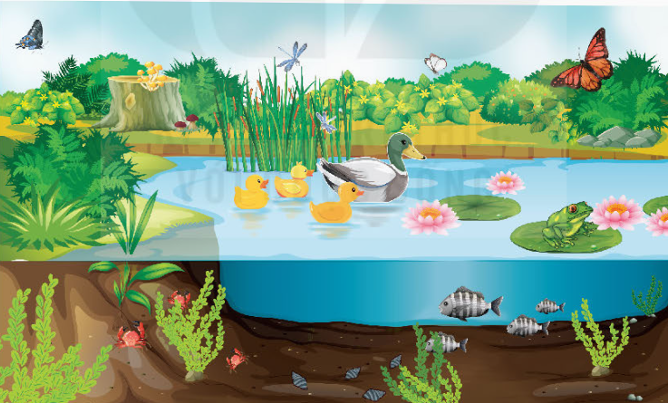 Quần xã sinh vật