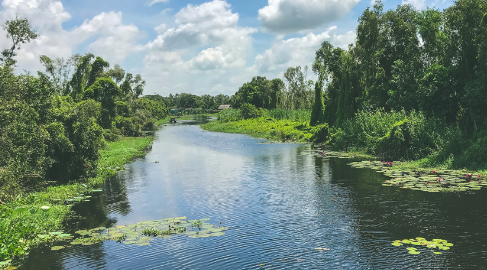 Hệ sinh thái sông