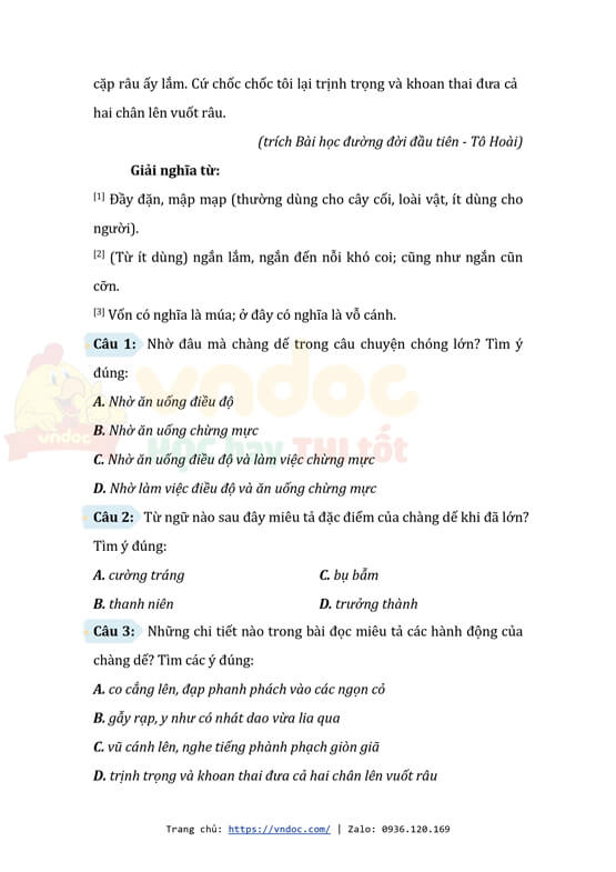 bai tap cuoi tuan tieng viet lop 4 canh dieu nang cao tuan 9 h3*522276