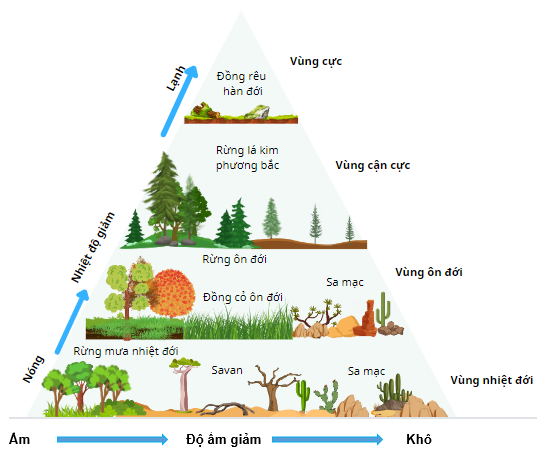 Các khu sinh học trên cạn