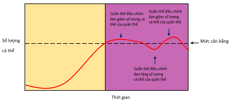 Khả năng tự điều chỉnh số lượng cá thể của quần thể