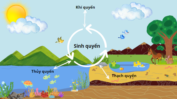 Sinh quyển
