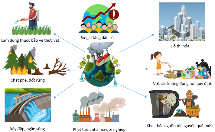 Những tác động của con người làm suy thoái môi trường