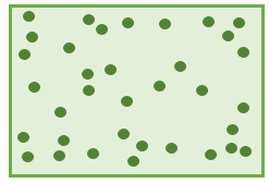 Phân bố ngẫu nhiên