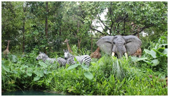 Quần xã sinh vật nhiệt đới