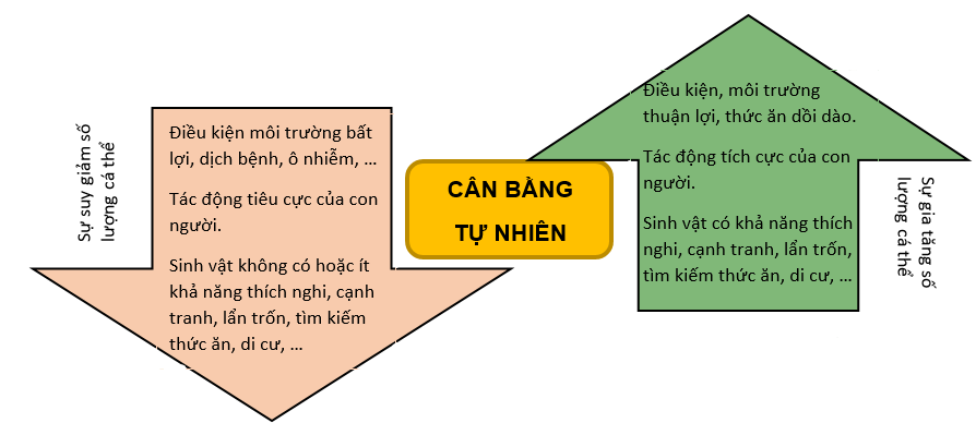 Các nguyên nhân gây mất cân bằng tự nhiên