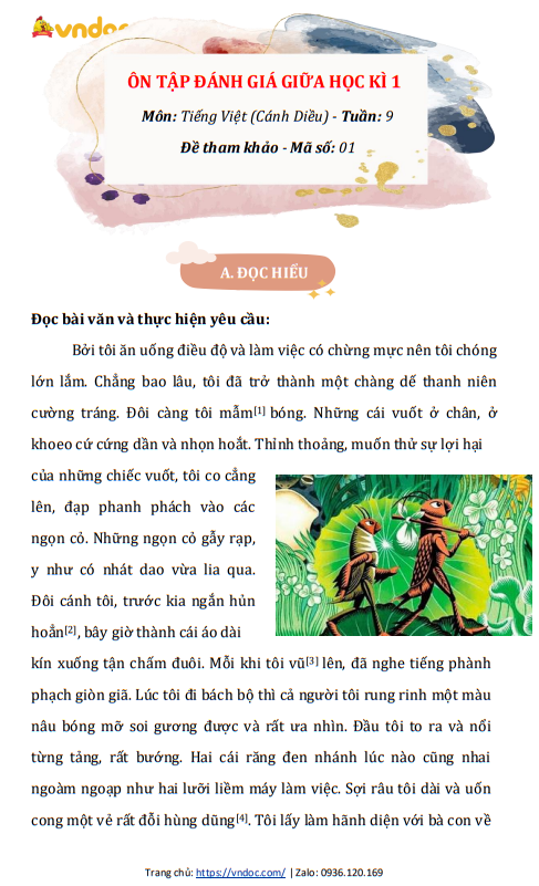 minh hoa bai tap cuoi tuan toan tieng viet lop 4 canh dieu nang cao tuan 9 h1*524813