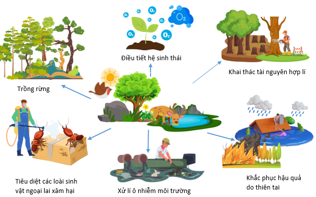 Một số biện pháp bảo vệ, duy trì cân bằng tự nhiên