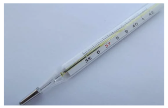 Nhiệt kế thủy ngân