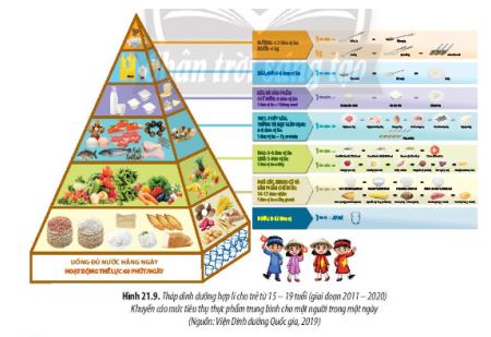 Sinh học 11 Chân trời sáng tạo bài 21