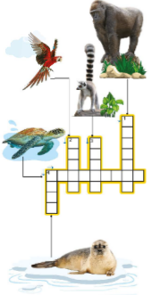 Sách bài tập Right on 8 unit 3 3c Vocabulary