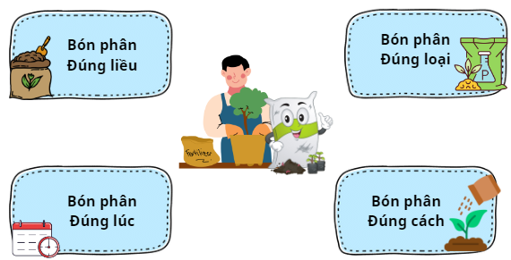 Quy tắc bón phân “4 đúng