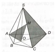 Giải sách bài tập Toán 11 Kết nối tri thức bài 10