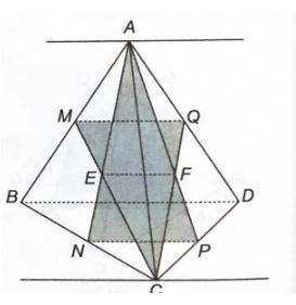 Giải sách bài tập Toán 11 Kết nối tri thức bài 11