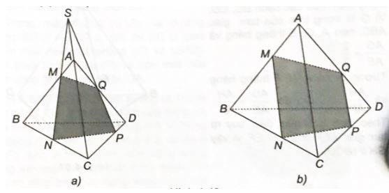 Giải sách bài tập Toán 11 Kết nối tri thức bài 11