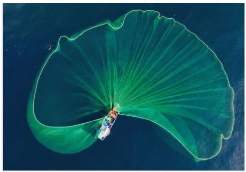 Giải Mĩ thuật 4 Kết nối tri thức chủ đề 4: Vẻ đẹp trong cuộc sống