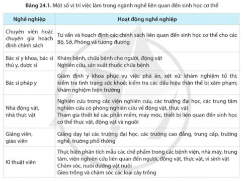 Sinh học 11 Cánh diều bài 24