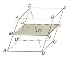 Giải sách bài tập Toán 11 Kết nối tri thức bài 13