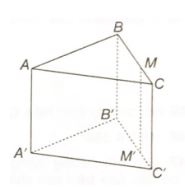 Giải sách bài tập Toán 11 Kết nối tri thức bài 14
