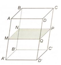 Giải sách bài tập Toán 11 Kết nối tri thức bài tập cuối chương 4