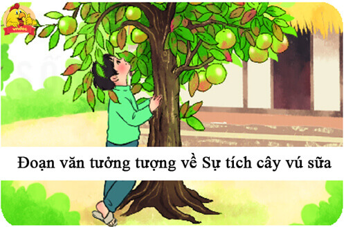 Viết đoạn văn tưởng tượng về Sự tích cây vú sữa
